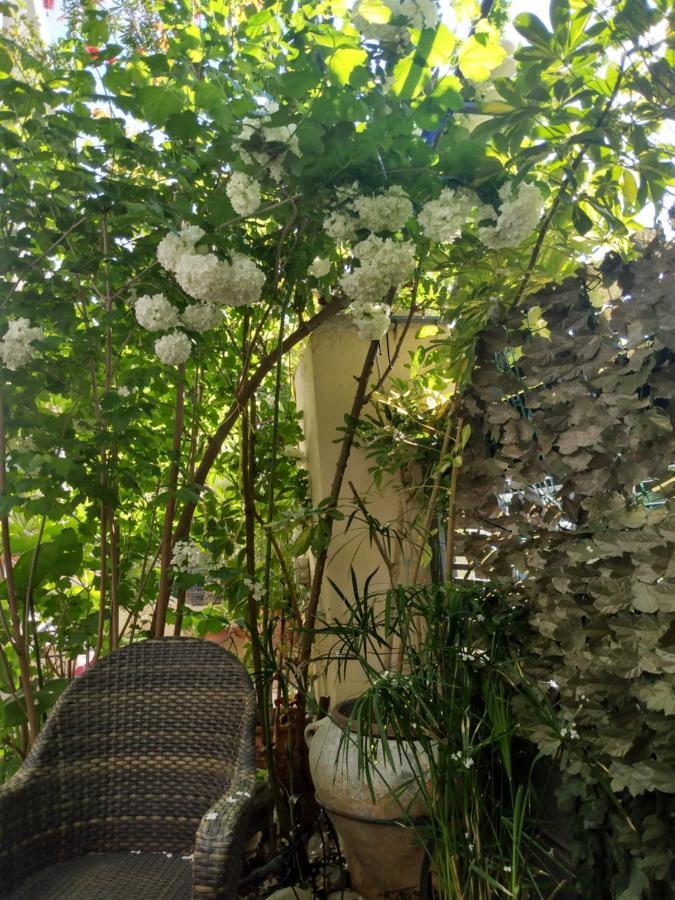My Sunny Low Home باترا المظهر الخارجي الصورة
